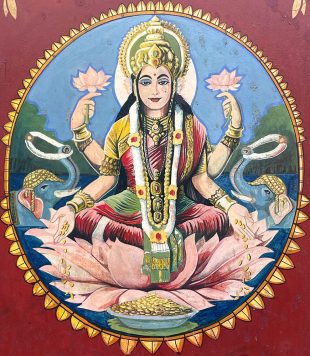 Saraswati Lotus